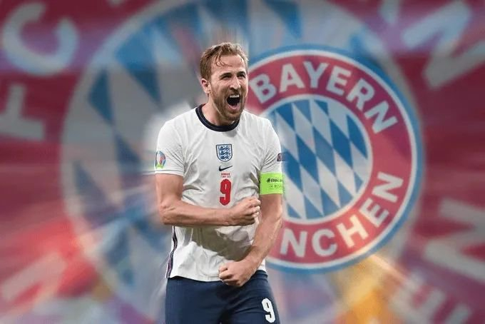 率与商业回 率与商业回